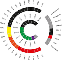 Fraktionen_Sitzordnung Rat.jpg